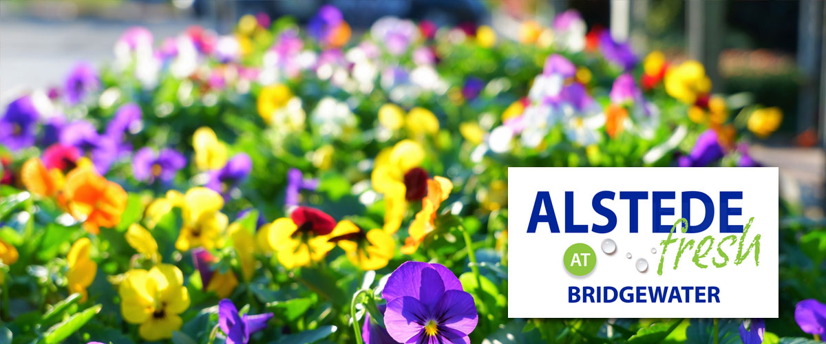 Alstede Fresh at Bridgewater Alstede Fresh at Bridgewater