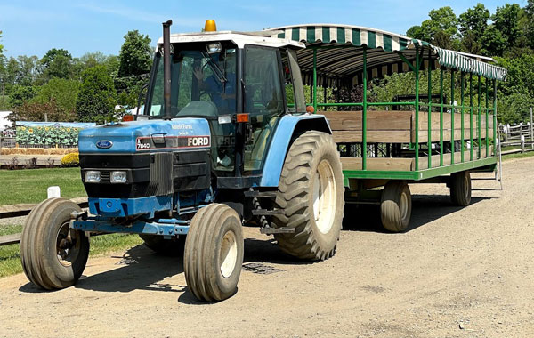 Visit the Farm
